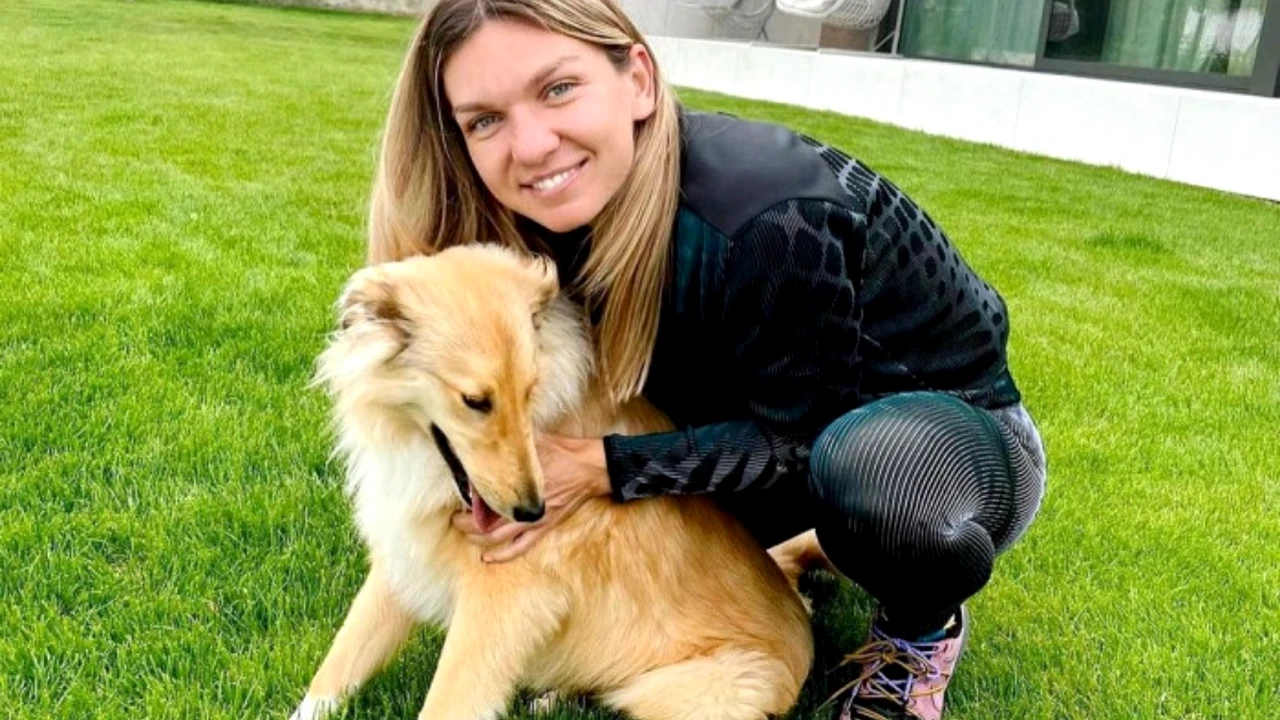 Pasiunea ascunsă a Simonei Halep a fost dezvăluită. Ce face campioana din România atunci când ajunge la casa de la Snagov