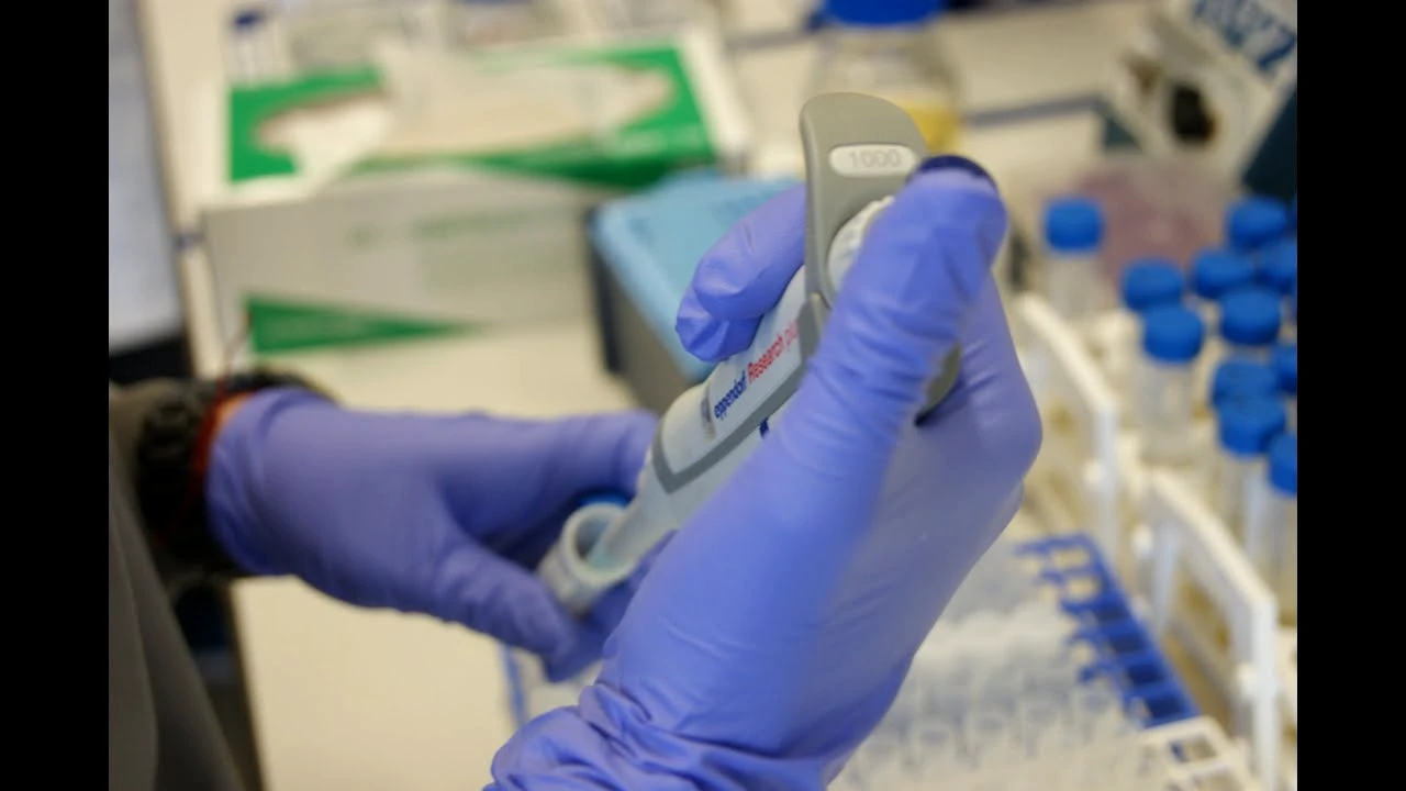 Au testat-o fiind gravidă. Dezvăluire senzațională: „M-am trezit cu oamenii de la control la ușă”