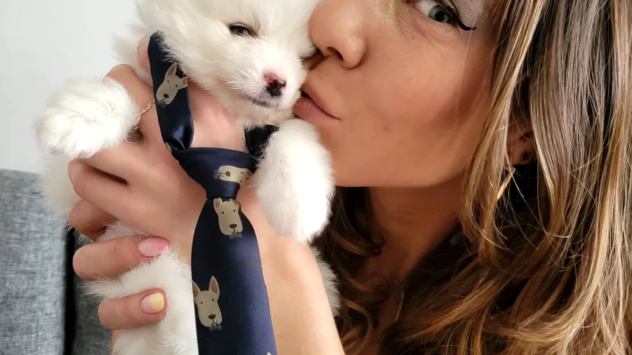 Mihaela Buzărnescu, înscrisă în calificări la Roland Garros. Stan Wawrinka, înscris pentru calificări la masculin