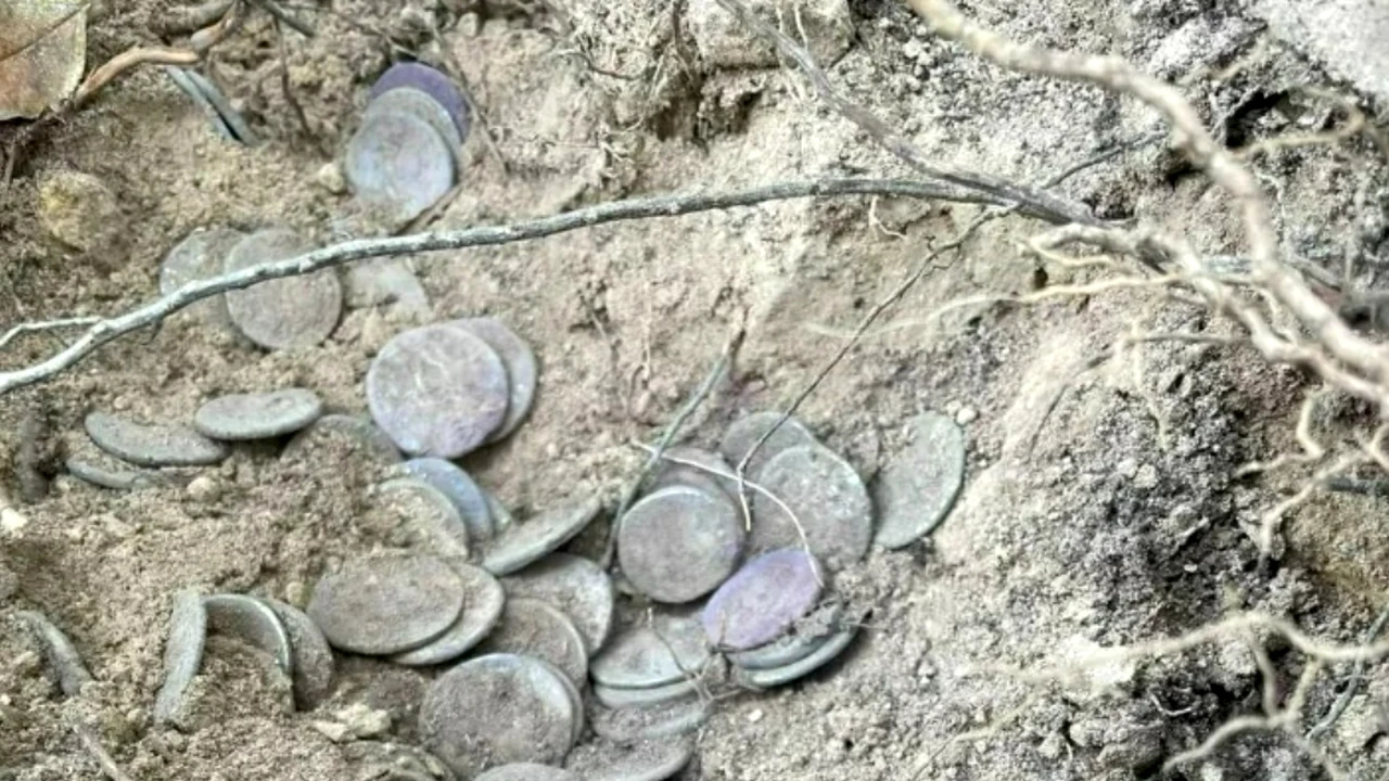 Descoperirea care a uimit planeta. Ce a găsit un bărbat în timp ce se plimba prin pădure: Dispăruse în urmă cu 2.000 de ani