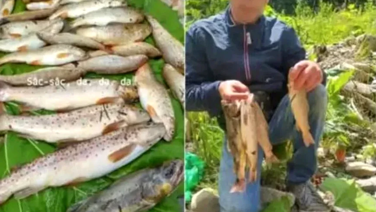 Cu cine s-a trezit la ușă un român după ce s-a lăudat pe Facebook că a pescuit 23 de păstrăvi. Mare mirare când a deschis