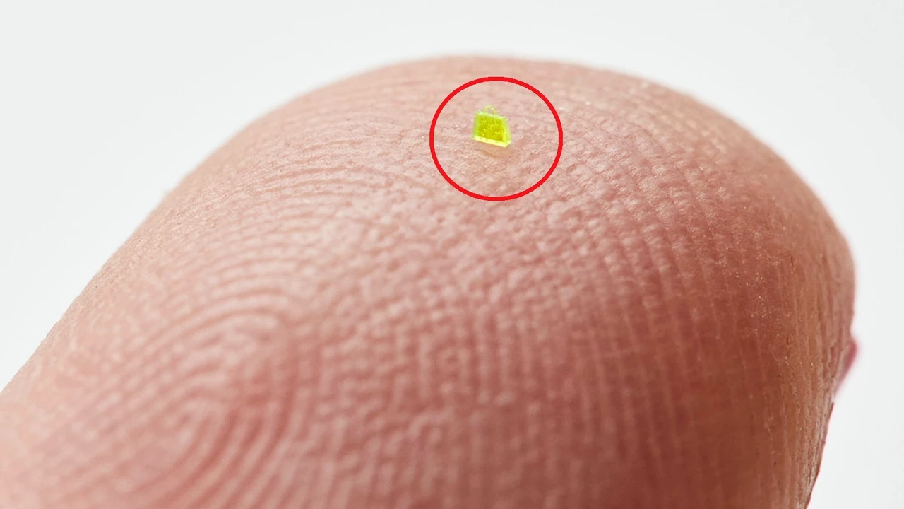 HALUCINANT! Cu cât s-a vândut această geantă microscopică mai mică decât un bob de sare. Ai putea cumpăra un apartament cu banii ăștia