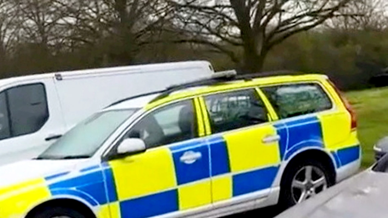 O pasăre e virală pe net datorită sunetelor pe care le scoate! Imită perfect sirena de poliție: „A fost arestată pentru tulburarea liniștii”