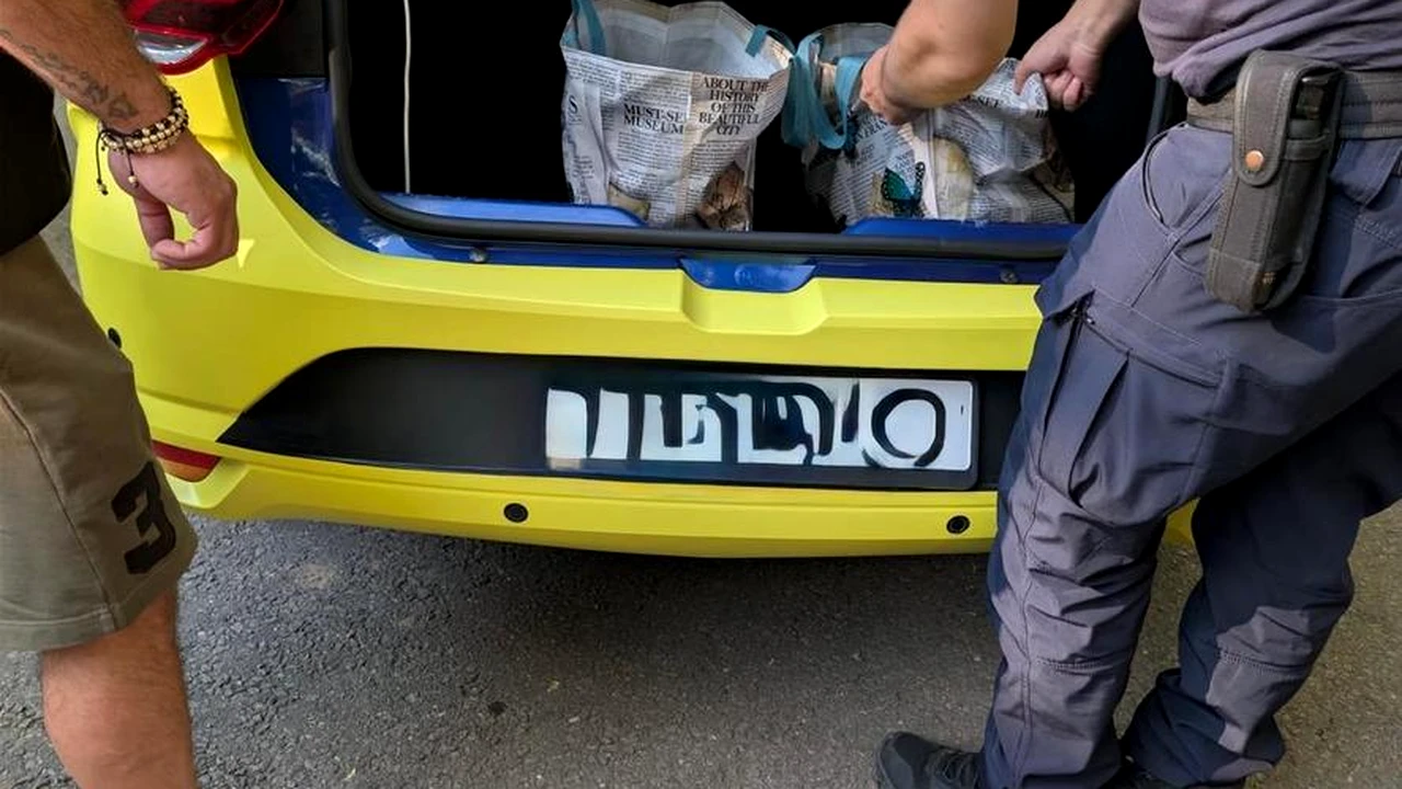 Taximetrist, depistat în timp ce încerca să vândă materiale pirotehnice fanilor prezenţi la Beitar – Austria Viena