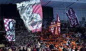 Rapid – Metz, 31-34, în Liga Campionilor la handbal feminin. Jucătoarele din Giulești au pierdut meciul în ultimele cinci minute