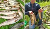 Cu cine s-a trezit la ușă un român după ce s-a lăudat pe Facebook că a pescuit 23 de păstrăvi. Mare mirare când a deschis