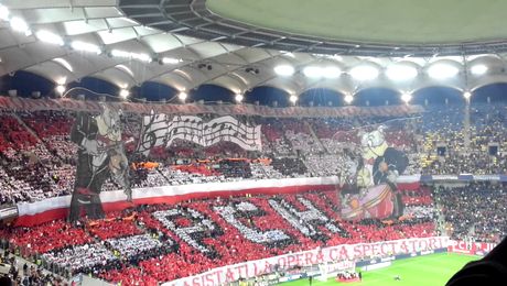 Planul secret al DDB pentru salvarea lui Dinamo. Ce vor să facă fanii „câinilor roșii”