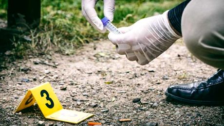 Investigație de proporții după ce o femeie și copilul de doi ani au murit la un stadion