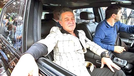 „Nu s-a găsit nicio persoană.” Comunicatul Poliției după ce Gigi Becali a ajuns cu mașina în șanț