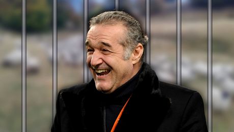 VIDEO EXCLUSIV. Secretul din pușcărie al lui Gigi Becali a ieșit la iveală: „I-a cumpărat o turmă de oi când a auzit că se ocupă cu asta”