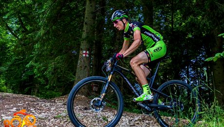 Ciclist devenit erou după ce a salvat viața unui turist mușcat de o viperă. Cum s-a întâmplat totul