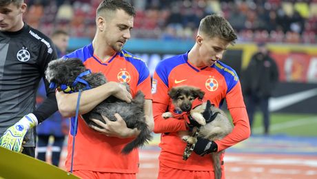 Cele mai spectaculoase 50 de imagini de la meciul FCSB – FC Voluntari: campanie de adopție a câinilor, ninsoare ca-n povești și un gol superb în minutul 90+4