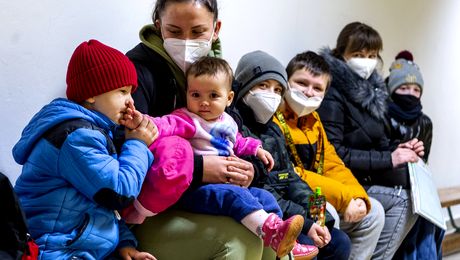 Rapid se implică pentru a ajuta refugiații din Ucraina. Ce au pregătit fanii giuleșteni pentru victimile războiului