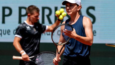 Facultatea pe care vrea să o urmeze Simona Halep. După ce se va lăsa de tenis își va urma pasiunea