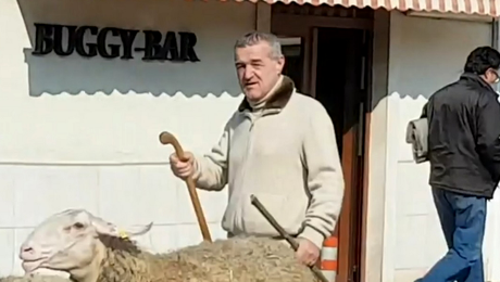 ”Eu am avut 2.000 de oi! Gigi n-are atâtea”. Europarlamentarul care e vecin cu Becali