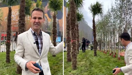 Asta e suma reală: S-a aflat cât costă palmierii lui Negoiță. Radu Mazăre de București n-a dat doar „2 lei”