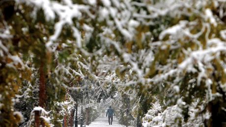 Nu e păcăleală: Va ninge pe 1 Aprilie! Când se întoarce iarna în România: Astea sunt zilele din martie în care vor cădea fulgi de zăpadă