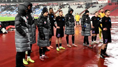 Becali a găsit soluţia pentru a-l băga din nou în formă pe Politic: „Să văd dacă vrea. Îi spun să-l fac om adevărat, cu viaţă în el”