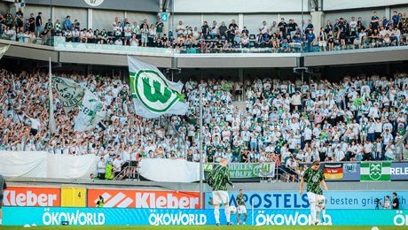 VfL Wolfsburg a retrogradat în a doua divizie pentru prima dată în aproape 30 de ani