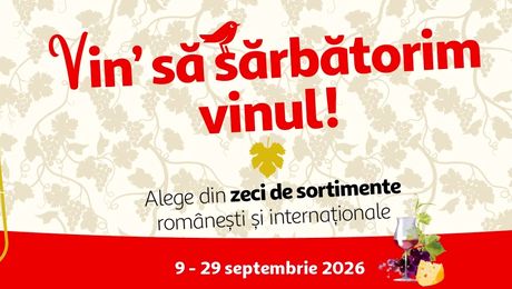Târgul de Vinuri Auchan: selecție variată de vinuri și oferte speciale până pe 29 septembrie