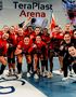 Performanță în handbalul feminin. Gloria Bistriţa, calificare în sferturile Ligii Campionilor. Cine îi va fi adversară